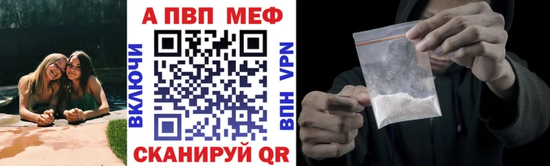 A PVP СК КРИС  Стародуб 
