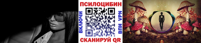 Галлюциногенные грибы Magic Shrooms  купить   Стародуб 